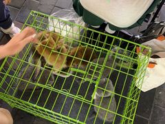 -万达广场(泰安泰山店)