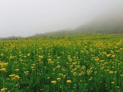 -石棉县孟获城
