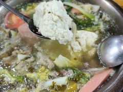 -陈记泸州酸菜豆花火锅(建设路店)