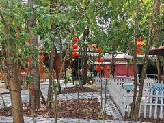 -陶缘一号·四季缘·老字号顺德菜·户外婚礼家宴(西滘店)
