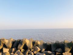 -南汇嘴观海公园