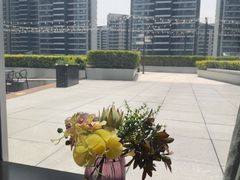 -凤凰湘语(浦东旗舰店)