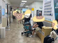 -美联众合动物医院·24h转诊中心
