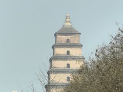 -德发长·花式蒸饺(大唐不夜城店)