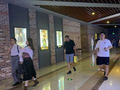 -SFC上影影城(北京大兴龙湖天街IMAX店)