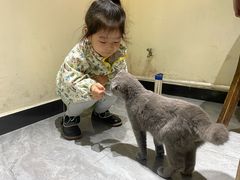 -猫小院猫主题餐厅(南锣旗舰店)