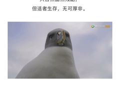 -众独空间沉浸式自习室(三阳路铂仕汇店)