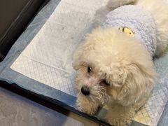 -梵猫·新养生(加州广场店)