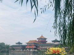 -中国翰园碑林