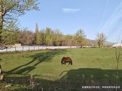 -新疆那拉提国家旅游度假区
