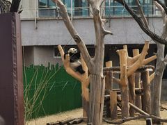 -沈阳森林动物园