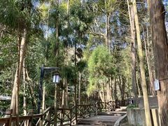 -都江堰普照寺