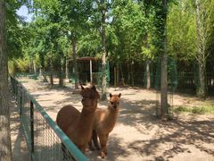 -兰陵国家农业公园