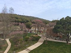 -无锡梅园公园