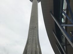 -澳门旅游塔360°旋转餐厅(南湾湖广场店)