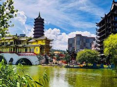 -长兴太湖图影湿地文化园
