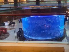 -OPEN開全日自助餐厅·牛肉火锅·海鲜(佛山希尔顿酒店)