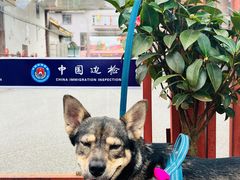 -瑞丽口岸免税店