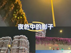 -珠江夜游天字码头