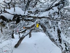 -秦岭风景区