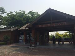 -大湾区中央湿地公园