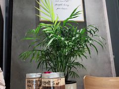 -素匠泰茶(三里屯SOHO工体奶茶店)