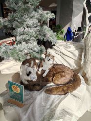 -IMON·HANSA潮玩玩偶毛绒玩具(通州万象汇店)