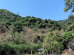 -梧桐山风景名胜区