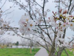 -良渚古城遗址公园