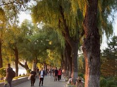 -长春市南湖公园