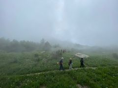 -野三坡百草畔景区