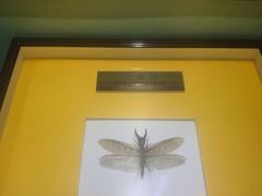 -上海昆虫博物馆
