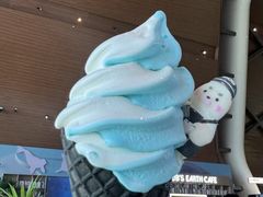 -抱抱地球咖啡馆(国家海洋博物馆店)