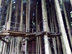 -武陵山森林公园