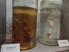 -正佳自然科学博物馆
