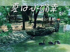 -黔灵山公园