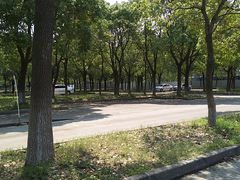 -安飞驰驾校·学车连锁(金高店)