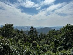 -惠山国家森林公园