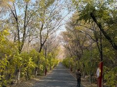 -水磨沟公园