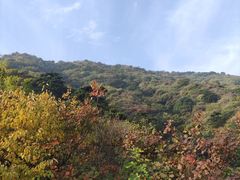 -香山公园