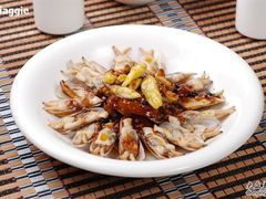 酱椒蛏子-新锦田大酒店(阳曲路店)
