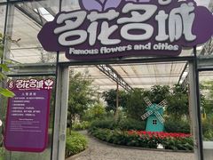 -南宫五洲植物乐园