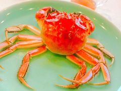 -梧桐花园餐厅(新城店)