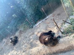 -郑州银基国际旅游度假区