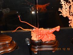 -绮丽珊瑚(台北101旗舰门市店)