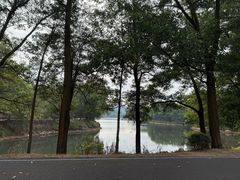 -红花湖景区