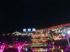 -枇杷园食为鲜火锅(南山店)