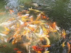 -珠海圆明新园