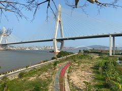 -芒洲湿地公园
