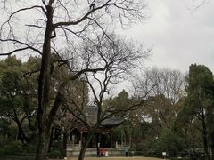 -汇龙潭